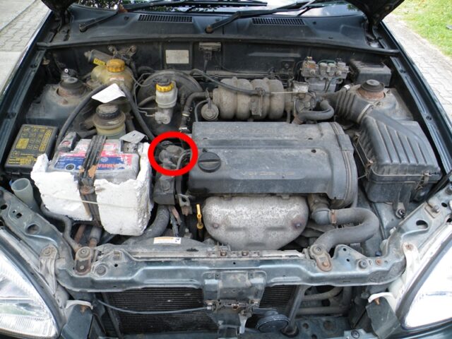 Locate the EGR Valve