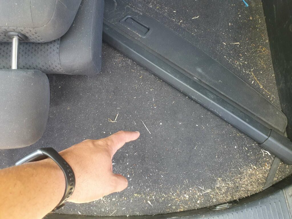 How to Get Bleach Smell Out of the Car