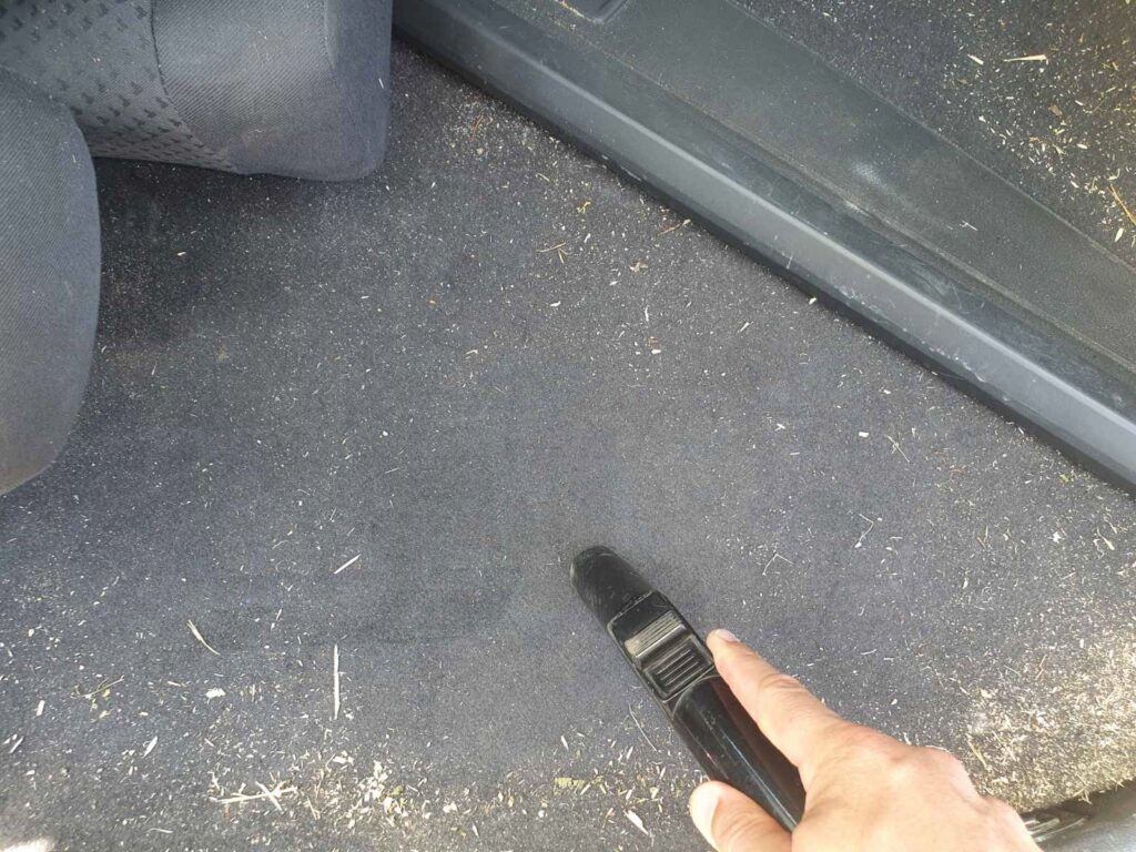 How to Get Bleach Smell Out of the Car