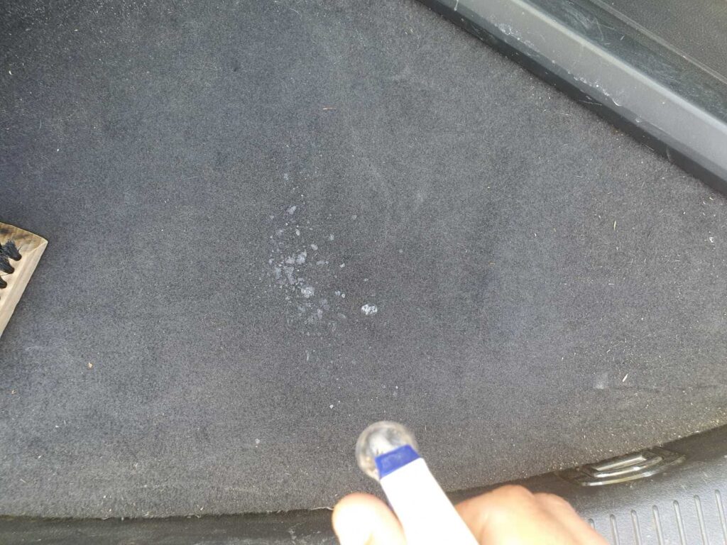How to Get Bleach Smell Out of the Car
