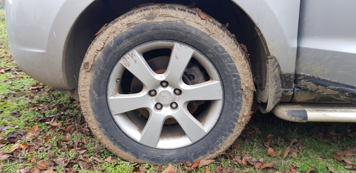 Can You Clean Your Chrome, Alloy, and Steel Rims With Bleach